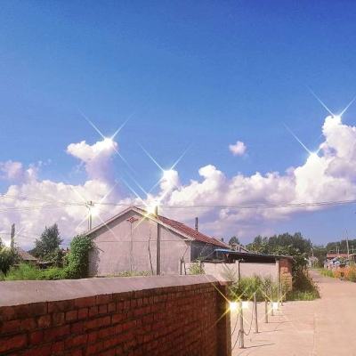万妖云梦集破解版下载